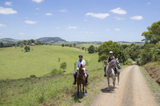 Australia-NSW-Comboyne Plateau and Beach Ride